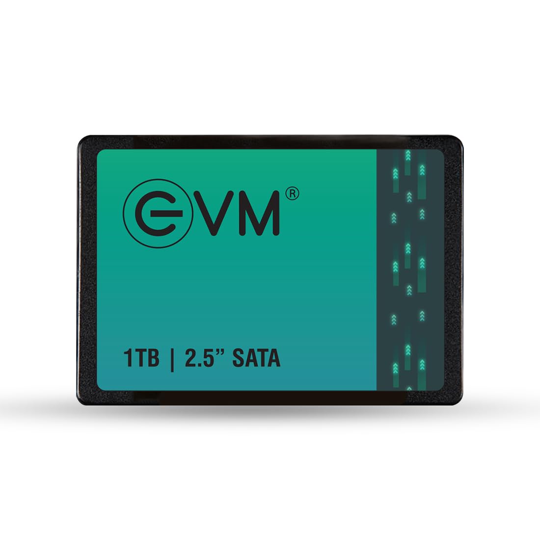 EVM 1TB SSD